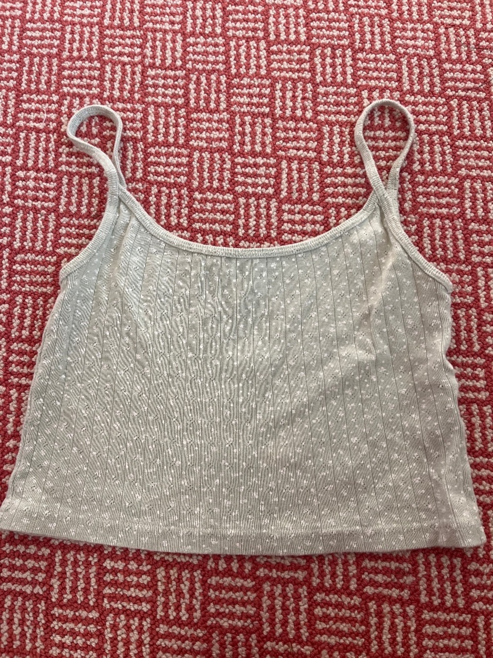 Brandy Melville Light Green Cropped tank